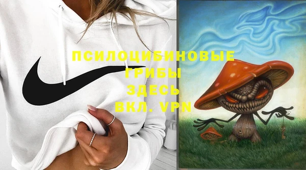ALPHA-PVP Алексеевка