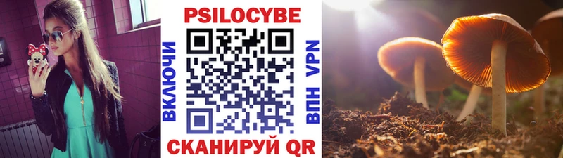 Галлюциногенные грибы Magic Shrooms  Шелехов 